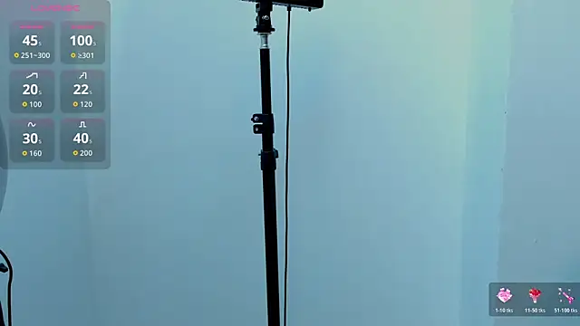 Vittoria_Conti_ webcam