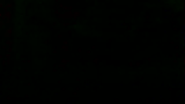 markluvskitty webcam