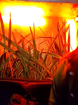 katty_42 (F teen) - #ahegao #big-ass #big-tits #cam2cam #camel-toe #cheap-privates #colombian #dildo-or-vibrator #doggy-style #erotic-dance #fingering #foot-fetish #hd #interactive-toys #masturbation #mobile #oil-show #orgasm #outdoor #recordable-privates #recordable-publics #shaven #smoking #spanish-speaking #spanking #squirt #striptease #student #titty-fuck #topless #twerk #upskirt #ahegao #big-ass #big-ass-big-tits #big-ass-doggy-style #big-ass-latin #big-ass-teens #big-tits #big-tits-doggy-style #big-tits-latin #big-tits-redheads #big-tits-teens #big-tits-titty-fuck #cam2cam #camel-toe #cheap-privates #cheap-privates-latin #cheap-privates-teens #colombian #colombian-teens #dildo-or-vibrator #dildo-or-vibrator-big-tits #dildo-or-vibrator-teens #doggy-style #erotic-dance #fingering #fingering-latin #fingering-teens #foot-fetish #foot-fetish-teens #hd #interactive-toys #interactive-toys-teens #latin #latin-doggy-style #latin-foot-fetish #latin-masturbation #latin-teens #long-hair #lovense #masturbation #masturbation-teens #medium #mobile #mobile-teens #moderately-priced-cam2cam #oil-show #orgasm #outdoor #recordable-privates #recordable-privates-teens #recordable-publics #redheads #redheads-teens #shaven #small-audience #smoking #spanish-speaking #spanking #squirt #squirt-latin #squirt-teens #striptease #striptease-latin #striptease-teens #student #teens #titty-fuck #topless #topless-latin #topless-teens #twerk #twerk-latin #twerk-teens #upskirt #upskirt-teens