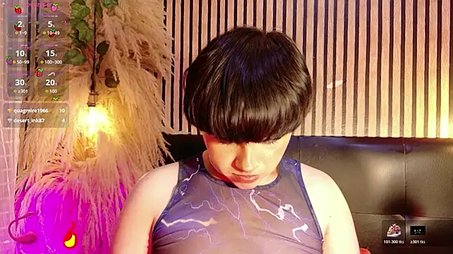 Hiddenhotcake webcam