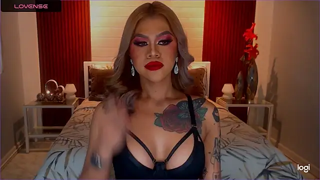 StellaStrong30 webcam