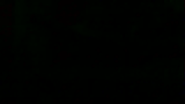 markluvskitty webcam