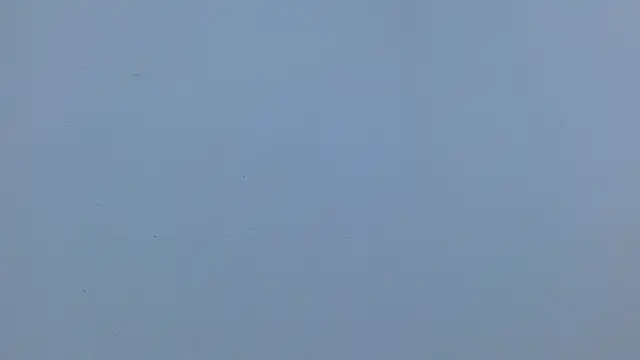 isabel_24_gil webcam