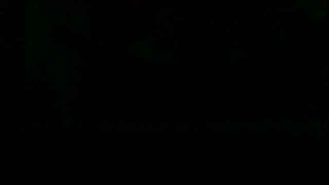 markluvskitty webcam