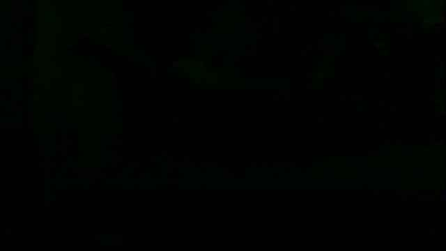 markluvskitty webcam