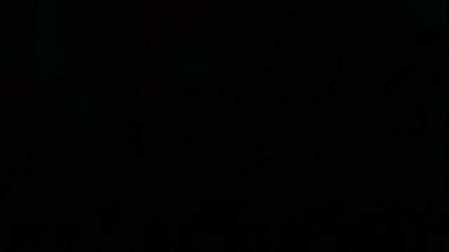 markluvskitty webcam