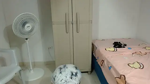 Agatha_browser webcam