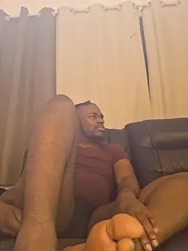 ReallyReallyReal webcam