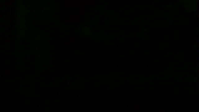 markluvskitty webcam