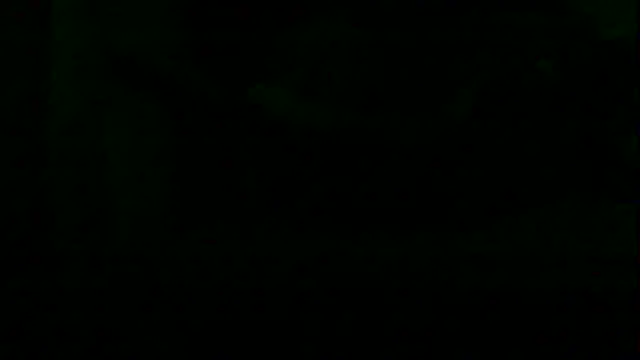 markluvskitty webcam