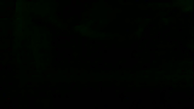 markluvskitty webcam