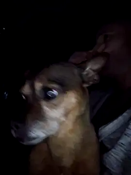 FrankieFuckMe webcam