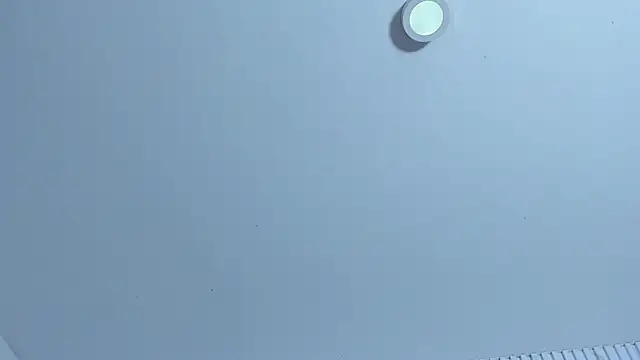 MarcoAndAllice webcam