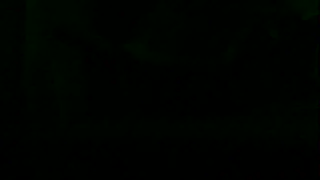 markluvskitty webcam