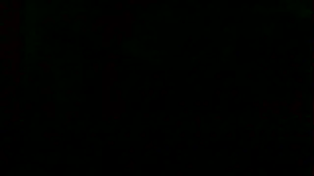 markluvskitty webcam