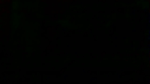 markluvskitty webcam