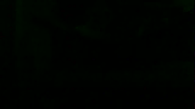 markluvskitty webcam