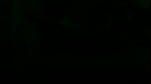 markluvskitty webcam