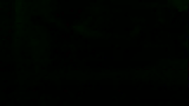 Preview of markluvskitty