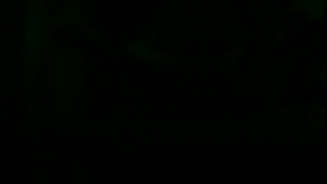 markluvskitty webcam