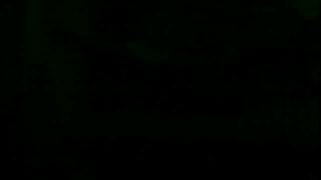 markluvskitty webcam