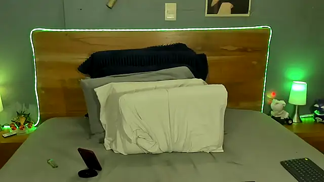 Prometeo-grizzly webcam