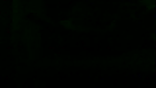 markluvskitty webcam