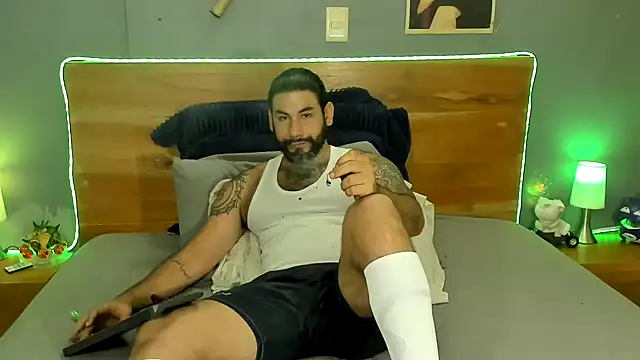 Prometeo-grizzly webcam