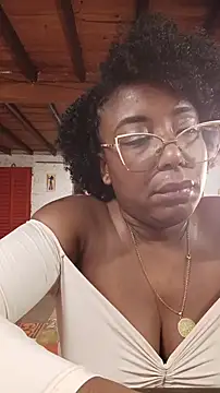 ChanneldelaCroix webcam