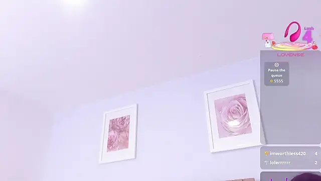 catalina_spec webcam