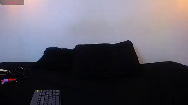 alice_jens webcam