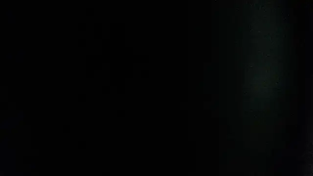 evelyn__salah webcam