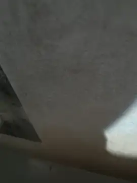 rajstrip12650 webcam