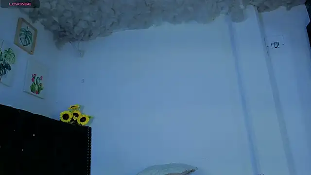 Levii_Ackermann webcam