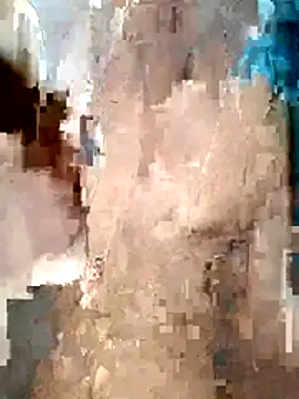 Forest_lover24 webcam