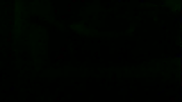 markluvskitty webcam