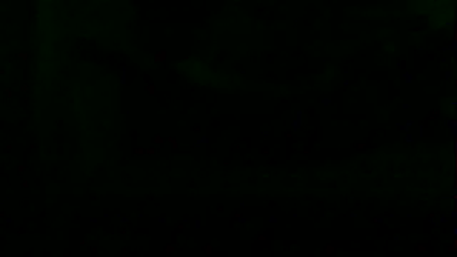 Preview of markluvskitty