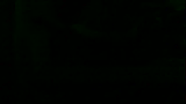 markluvskitty webcam