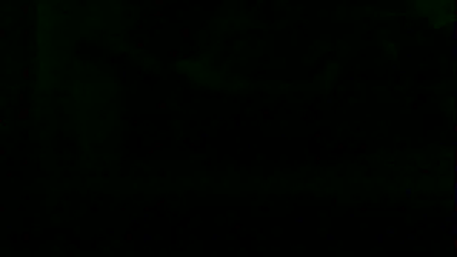 Preview of markluvskitty