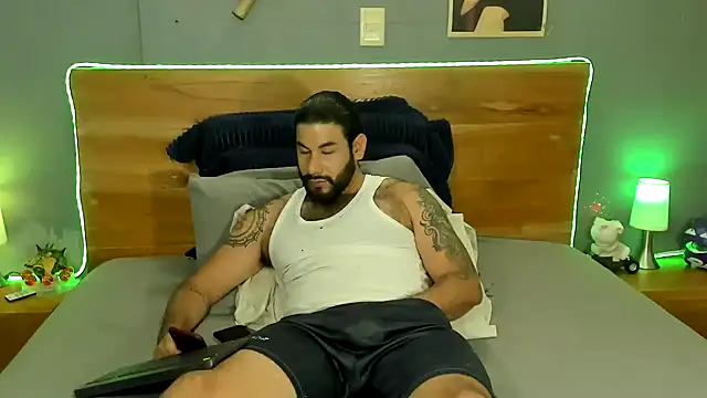 Prometeo-grizzly webcam