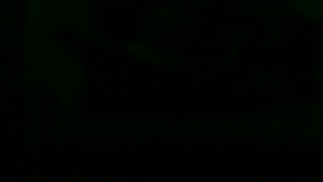 markluvskitty live sex cam