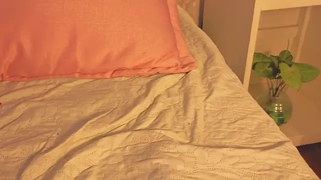 Benny_and_Mark webcam