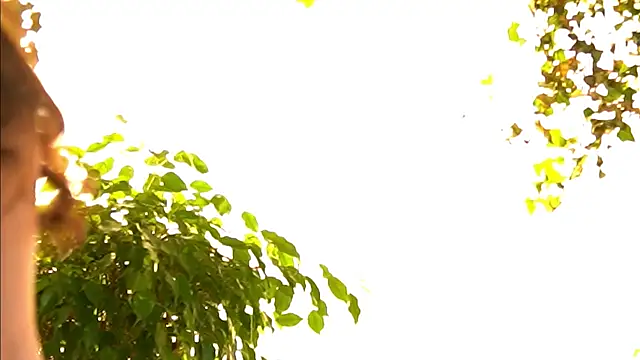 TheMaddisonShow_ webcam