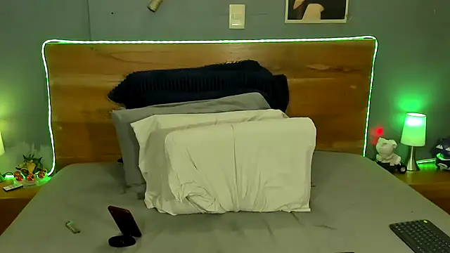 Prometeo-grizzly webcam