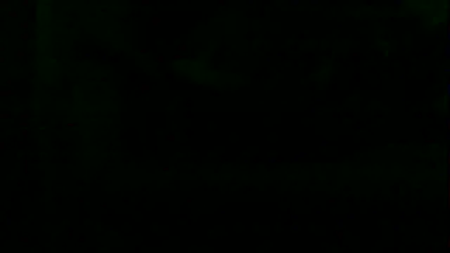 markluvskitty webcam