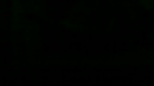 Preview of markluvskitty