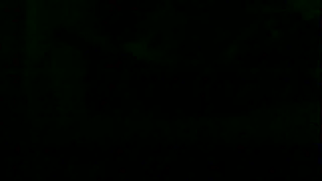 markluvskitty webcam