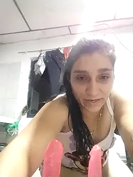 vegonicarouge webcam