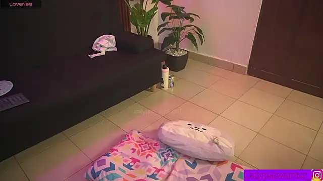 calypso_and_g2 webcam