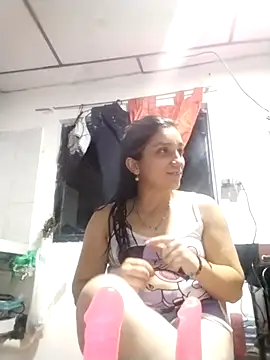 vegonicarouge webcam